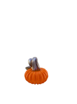 Mini glass pumpkin