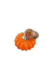 Mini pumpkin