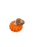 Mini pumpkin