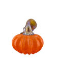 Mini pumpkin
