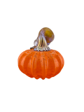 Mini pumpkin